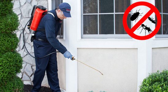 Yamanlar Dezenfeksiyon böcek ilaçlama ve haşere kontrolü — ilaclama-tr.com